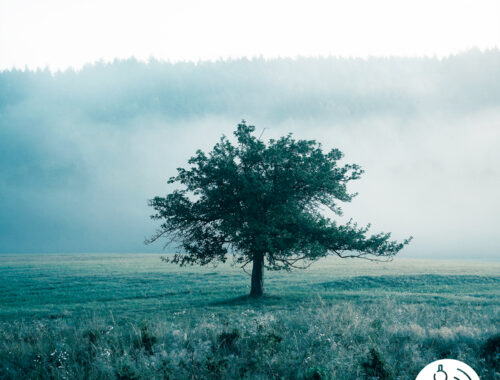 21-11-2024-VOCACIÓN-P